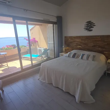 Apartment 3/4 Pieces Avec Piscine, Clim, Wifi Et Parking A - Fr-1-780-23 *